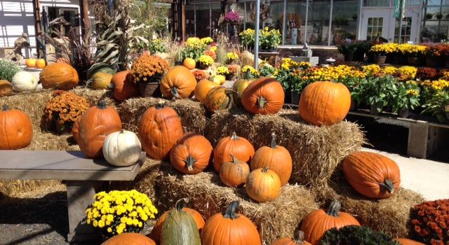 Garden Center - Creek Side Gardens