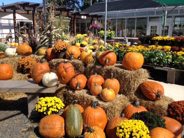 Welcome to Fall (Officially)! - Creek Side Gardens